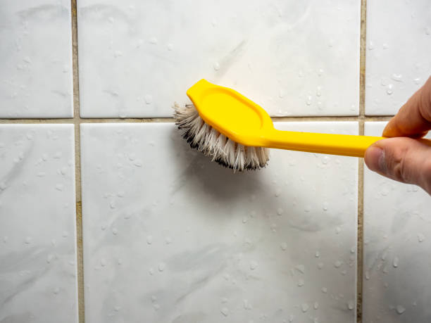 Home Mold Removal in Williamston, MI