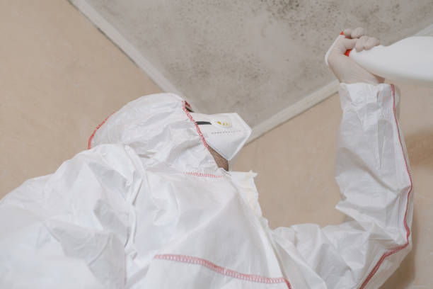 Best Crawl Space Mold Removal  in Williamston, MI