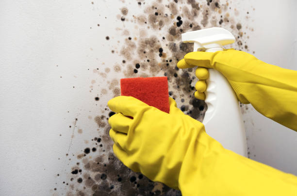 Water Damage Restoration in Williamston, MI