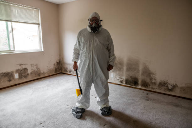 Best Fast Mold Removal  in Williamston, MI